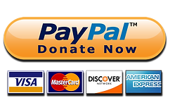 paypal-donate-button-high-quality-png.png